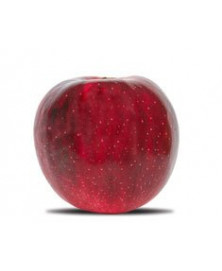 MANZANA MESA ROJA BIO