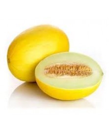 MELÓN AMARILLO BIO (aprox 1.600kg)