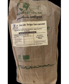 PAN TRIGO SARRACENO 700 GR BIO