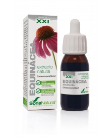 EXTRACTO DE ECHINACEA SIGLO XXI 50 ML