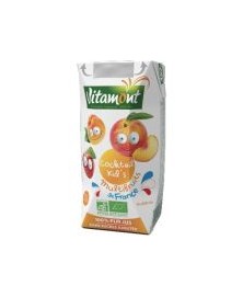 ZUMO MULTIFRUTAS VITAMONT BRICK 20 CL BIO